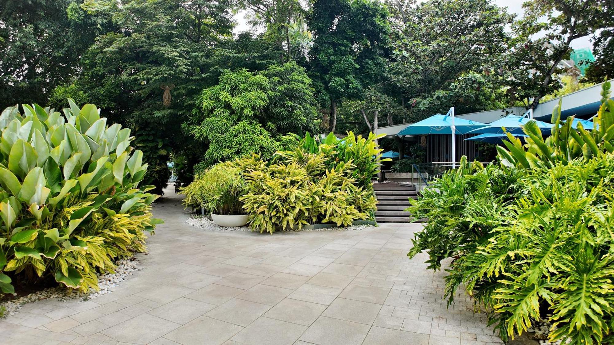Dominiks Quite And Elegant Studio Ocean View Pool At Tambuli Resort High Floor 麦克坦 外观 照片